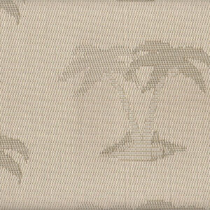 ASPS-Yard of Caribbean Palms