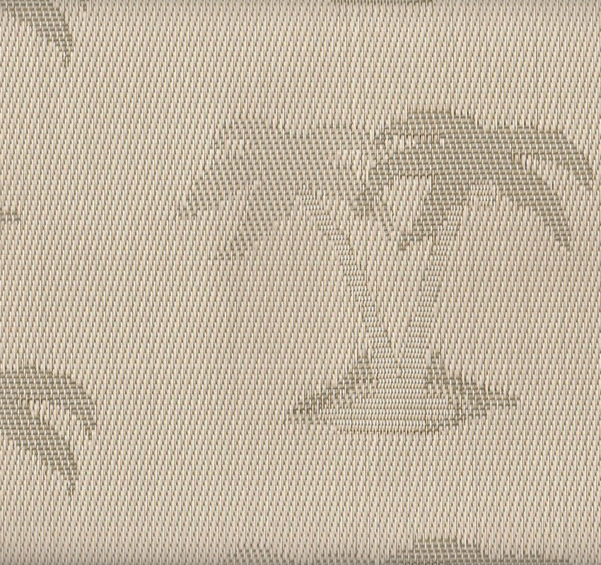 ASPS-Yard of Caribbean Palms