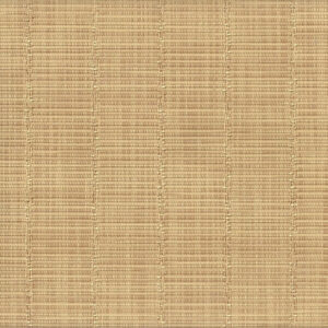 ASPS-Yard of Raffia Natural
