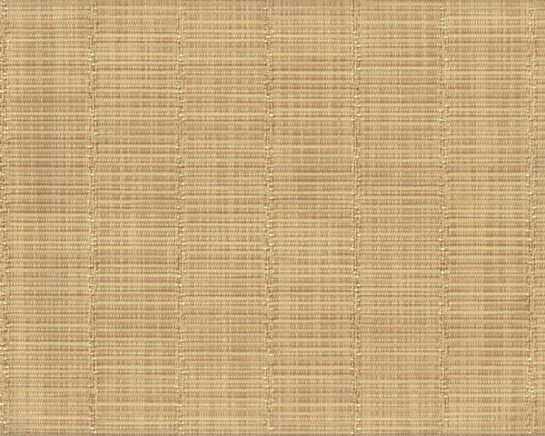 ASPS-Yard of Raffia Natural