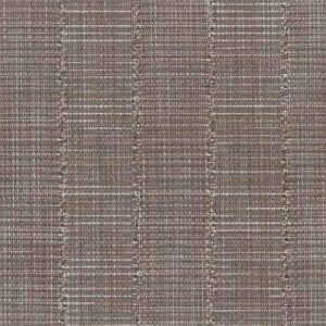 ASPS-Raffia Stripe Sable