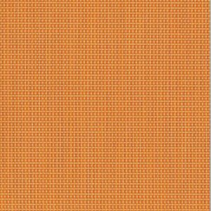 ASPS-Straw Mat Melon