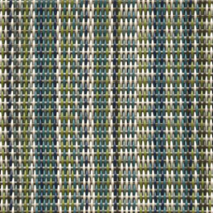 ASPS- Trixie Stripe Myrtle
