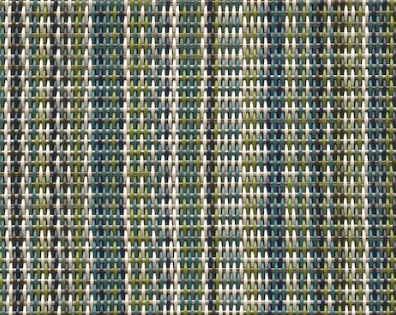 ASPS- Trixie Stripe Myrtle