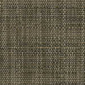 ASPS-Weston Charcoal