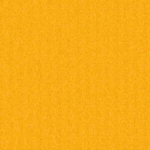 FO-5414 Dandelion