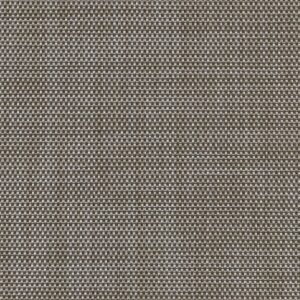 FS-095 Mica Pearl