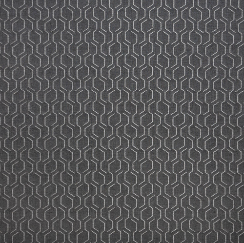 Adaptation-Stone (1) (1)