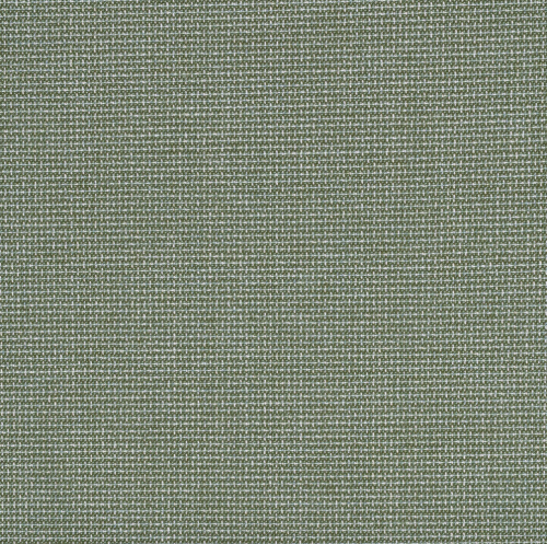 Bliss-Aloe (1)