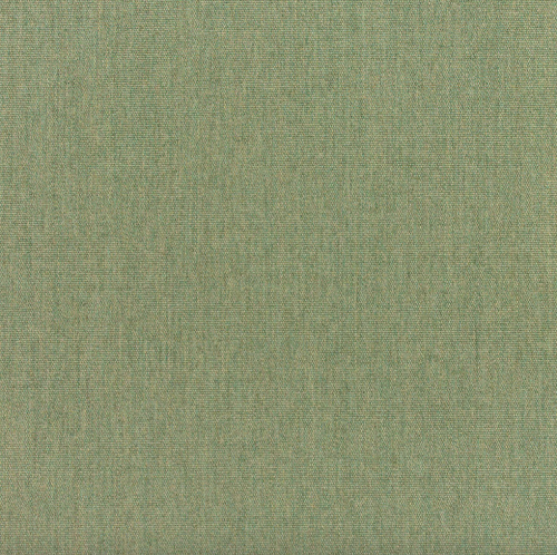 Canvas-Fern