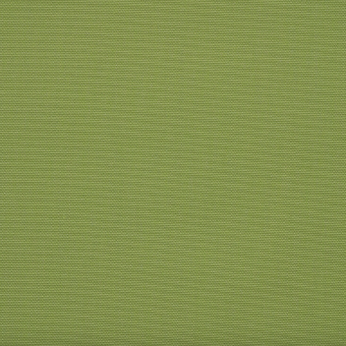 Canvas-Ginkgo