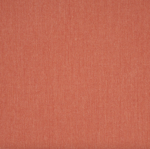 Canvas-Persimmon
