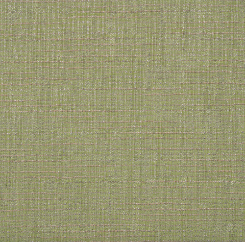 Cassava-Spring