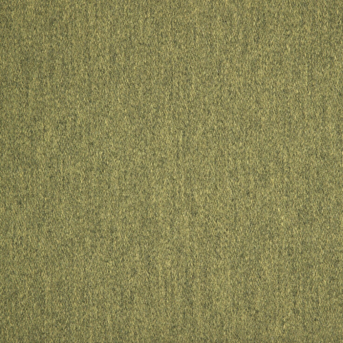 Pashmina-Moss (1)