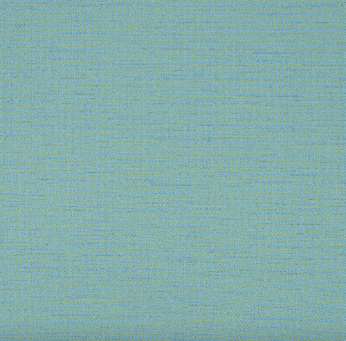 Rally-Aqua (1)