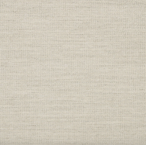 Rally-Fog (1)