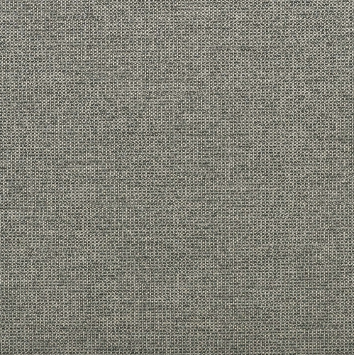 Rally-Graphite (1)
