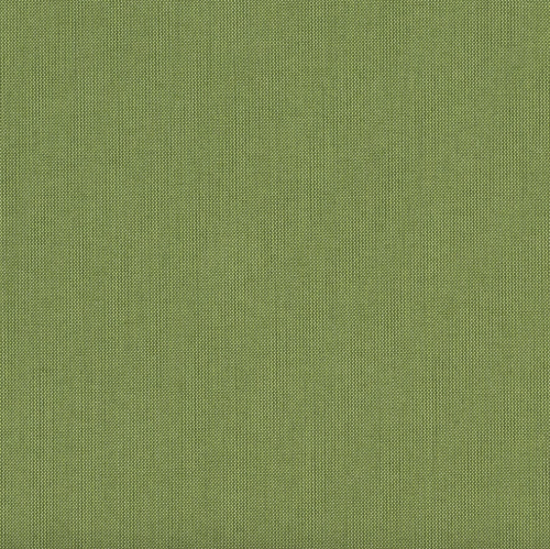 Spectrum-Cilantro